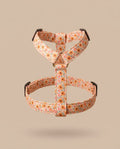 Orange Floral Harness