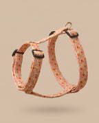 Orange Floral Harness