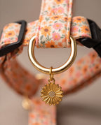 Orange Floral Harness