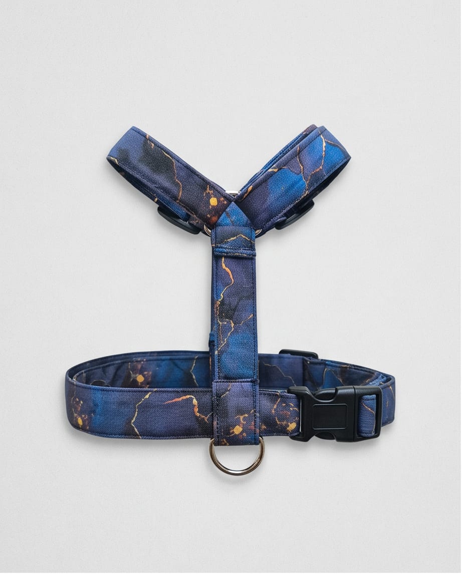 Galaxy Y Harness