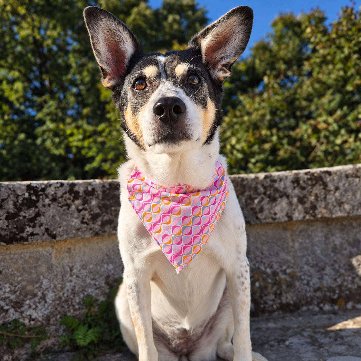 Bandana Tutti Frutti