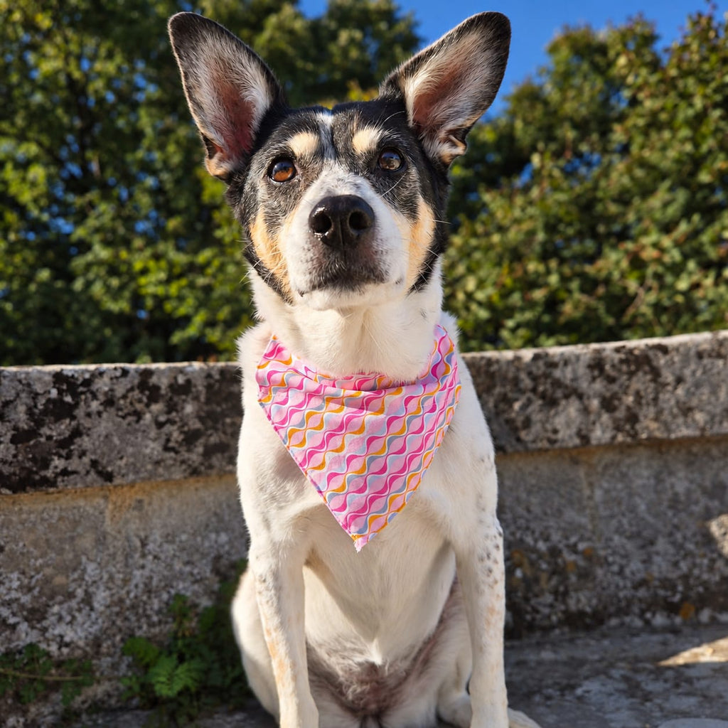 Tutti Frutti – Collier & Bandana