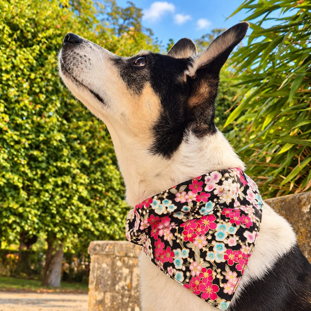Bandana « Forêt des Fées »