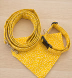 Fin d’Été – Collier, bandana & laisse