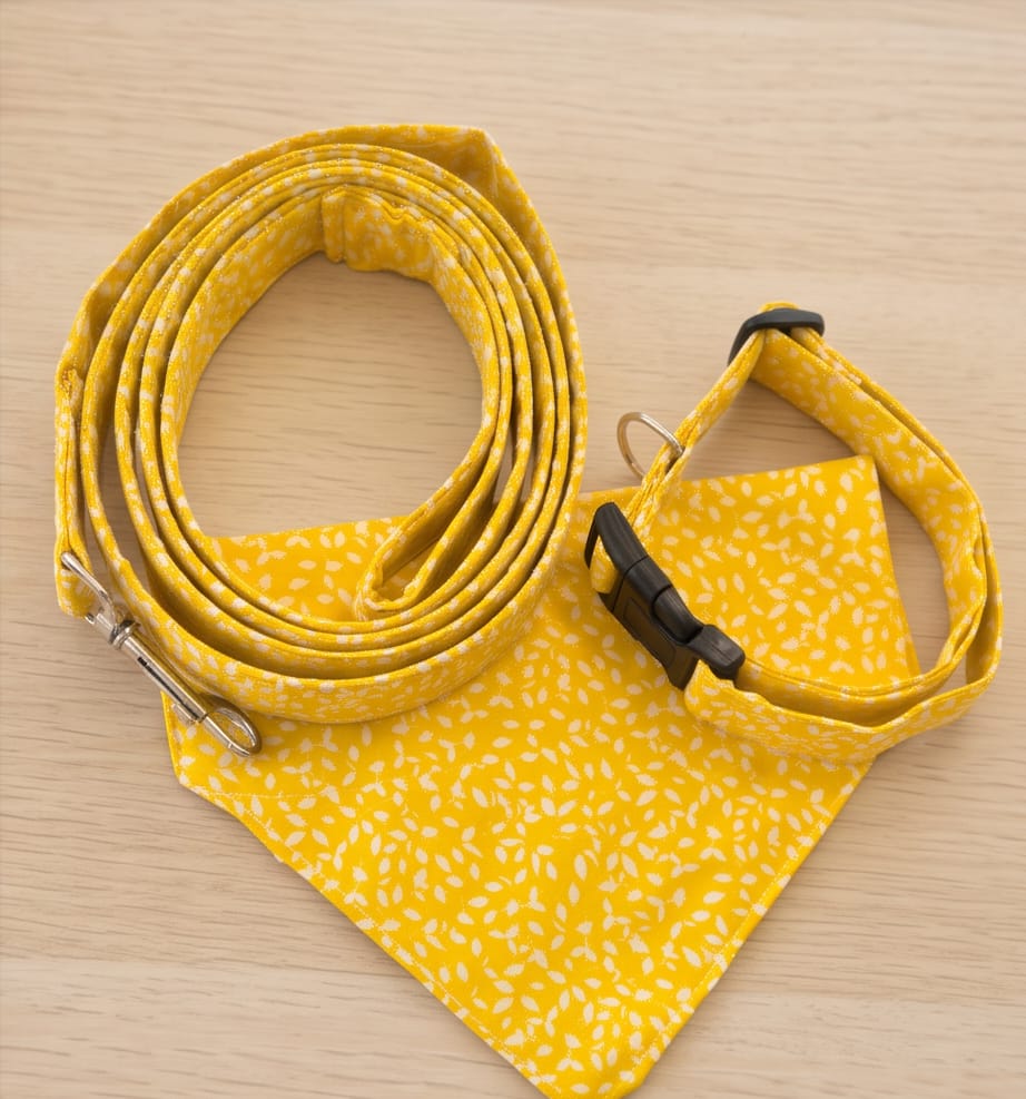 Fin d’Été – Collier, bandana & laisse