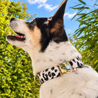 Collier « Guépard Blanc »