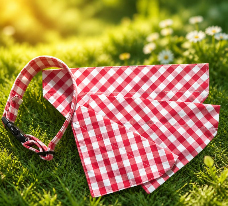 Vichy Red Collection – Matching Collar & Bandana