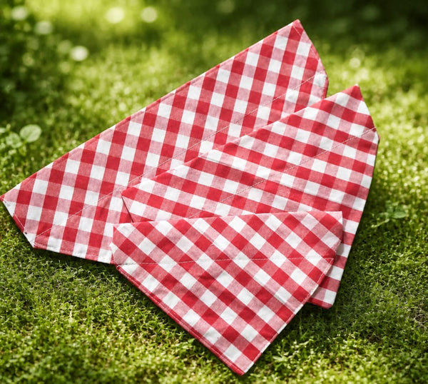 Red Gingham Bandanas
