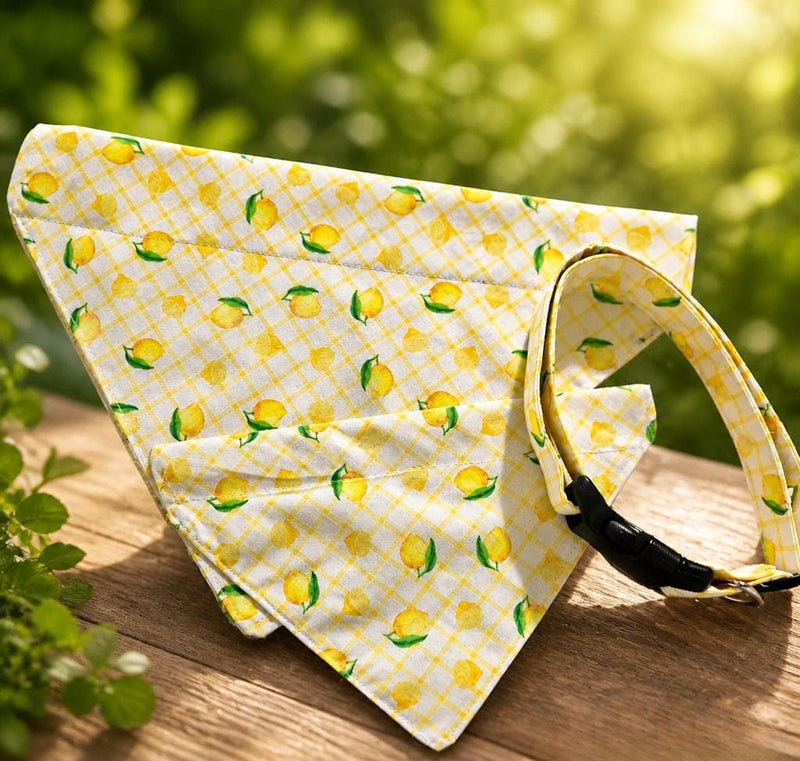Lemon Collection – Matching Necklace & Bandana