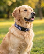 Navy & Purple Plaid Collar