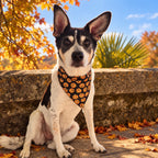 Bandana Halloween Citrouille 🎃