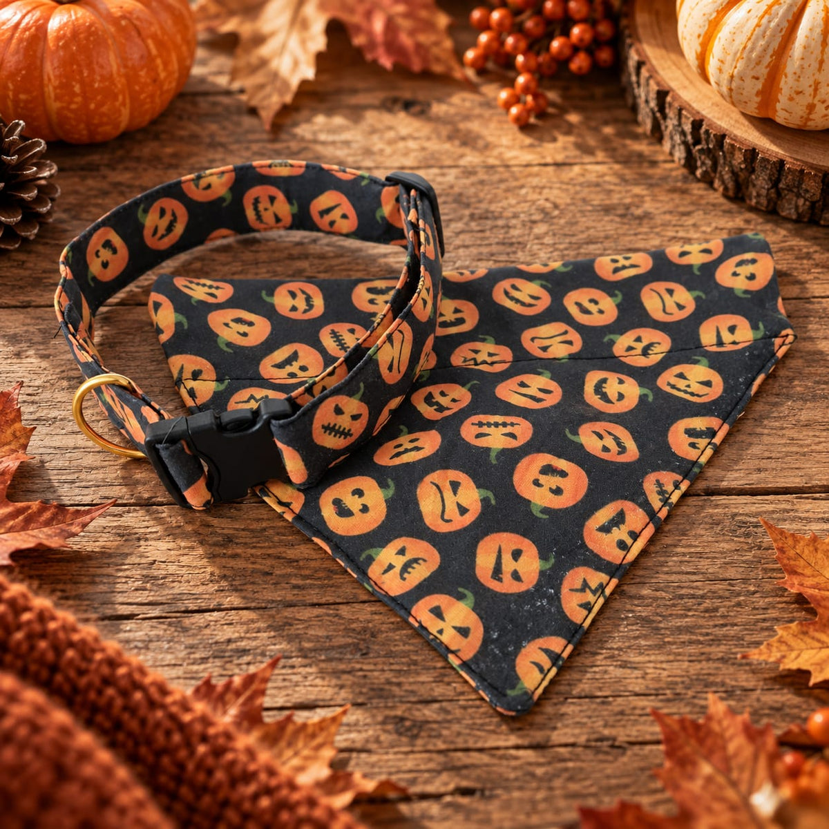 Ensemble Collier + Bandana Halloween Citrouille 🎃