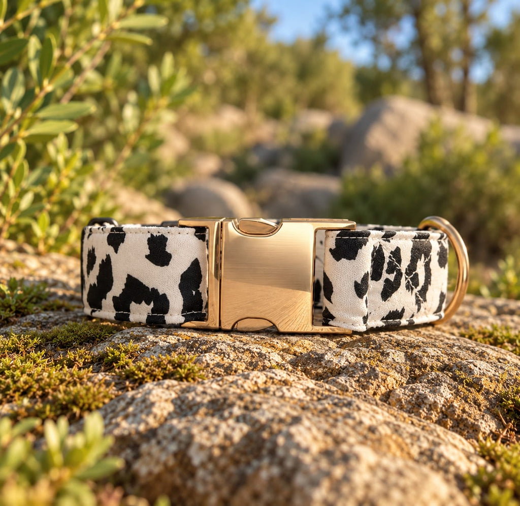 Collier « Guépard Blanc »