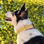 Collier « Jour d’Or »