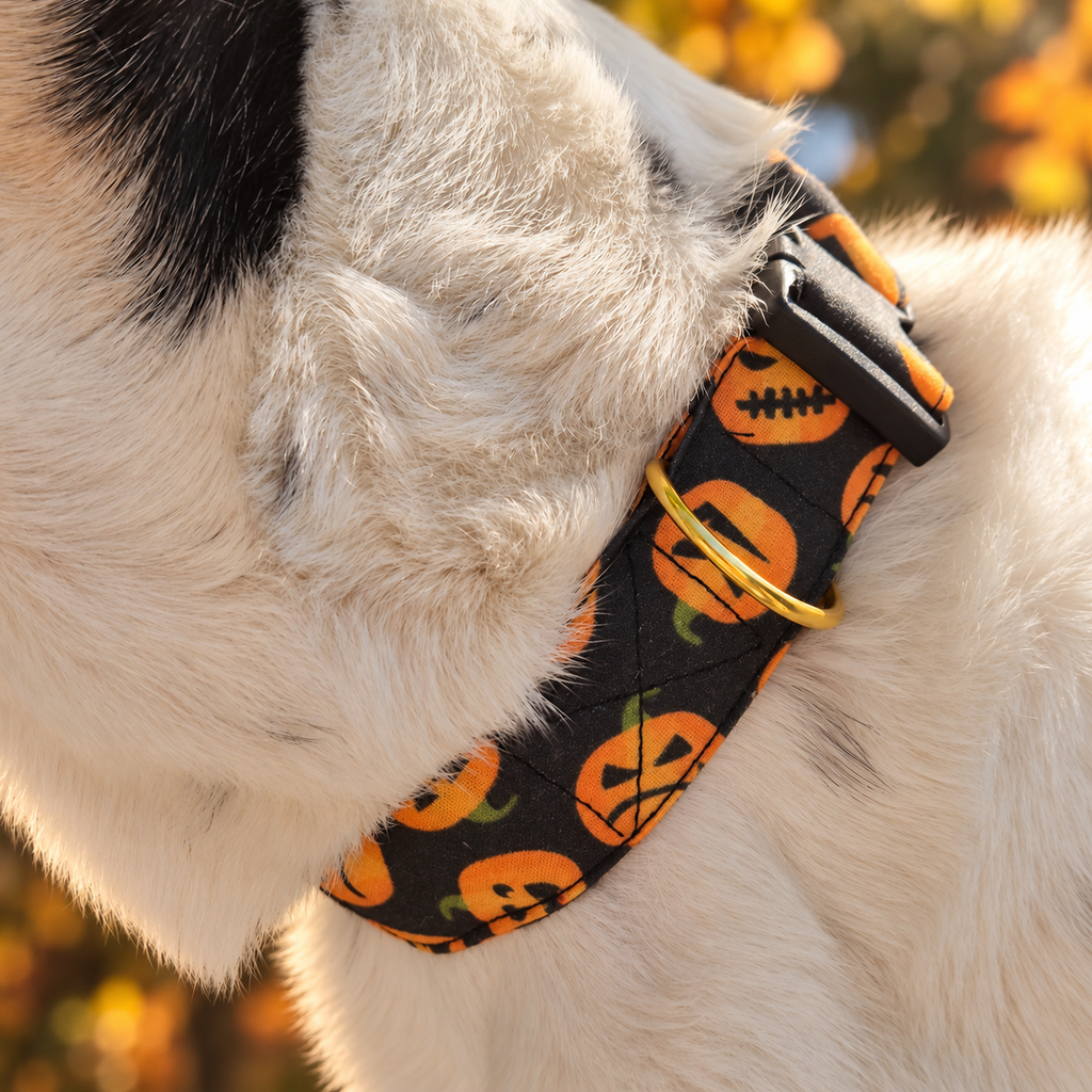 Coffret Halloween – Collier + 2 Bandanas 🎃👻