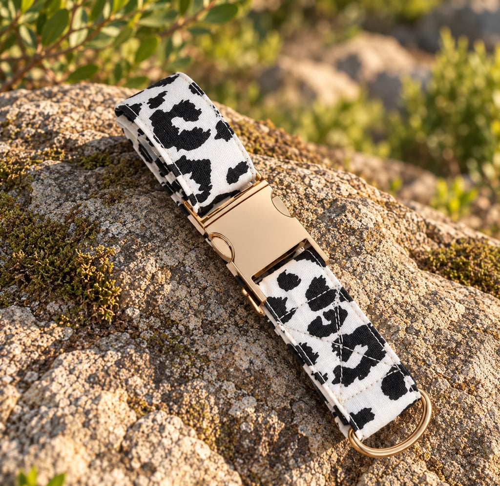 Collier « Guépard Blanc »